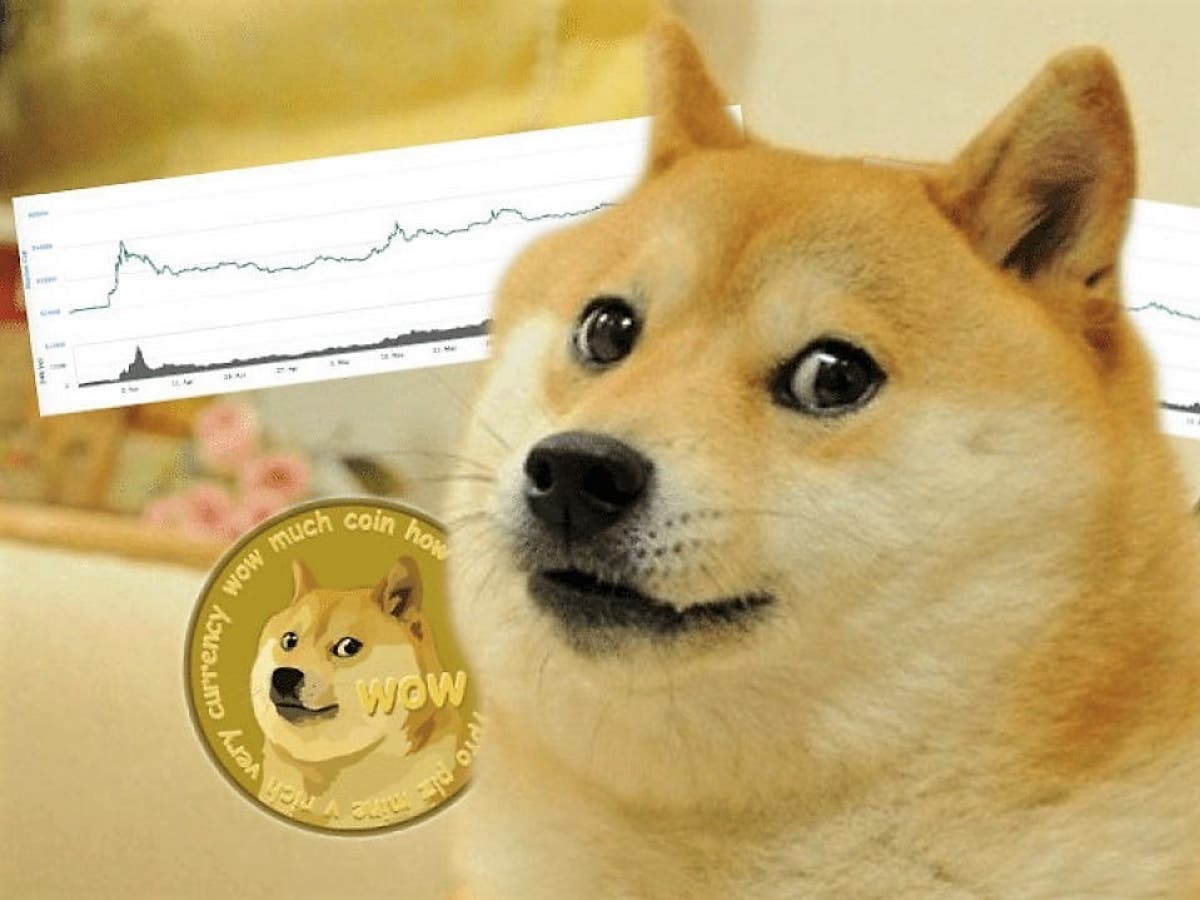Riding the Doge Wave to Wealth Now