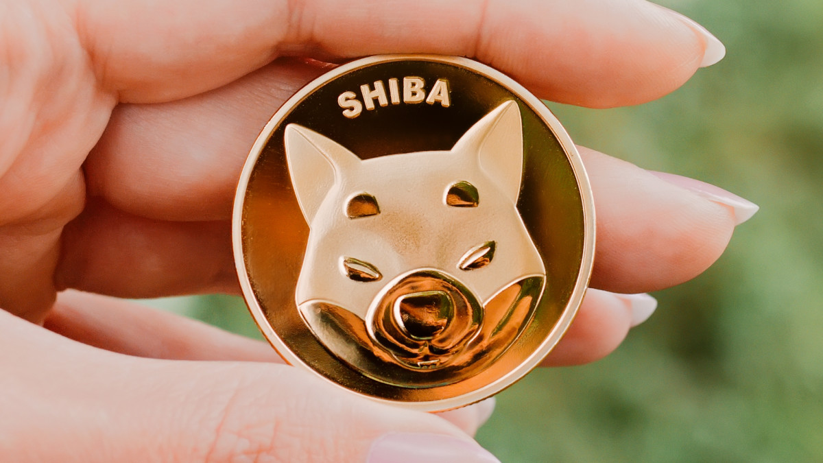 Road to Riches with Shiba Inu Now